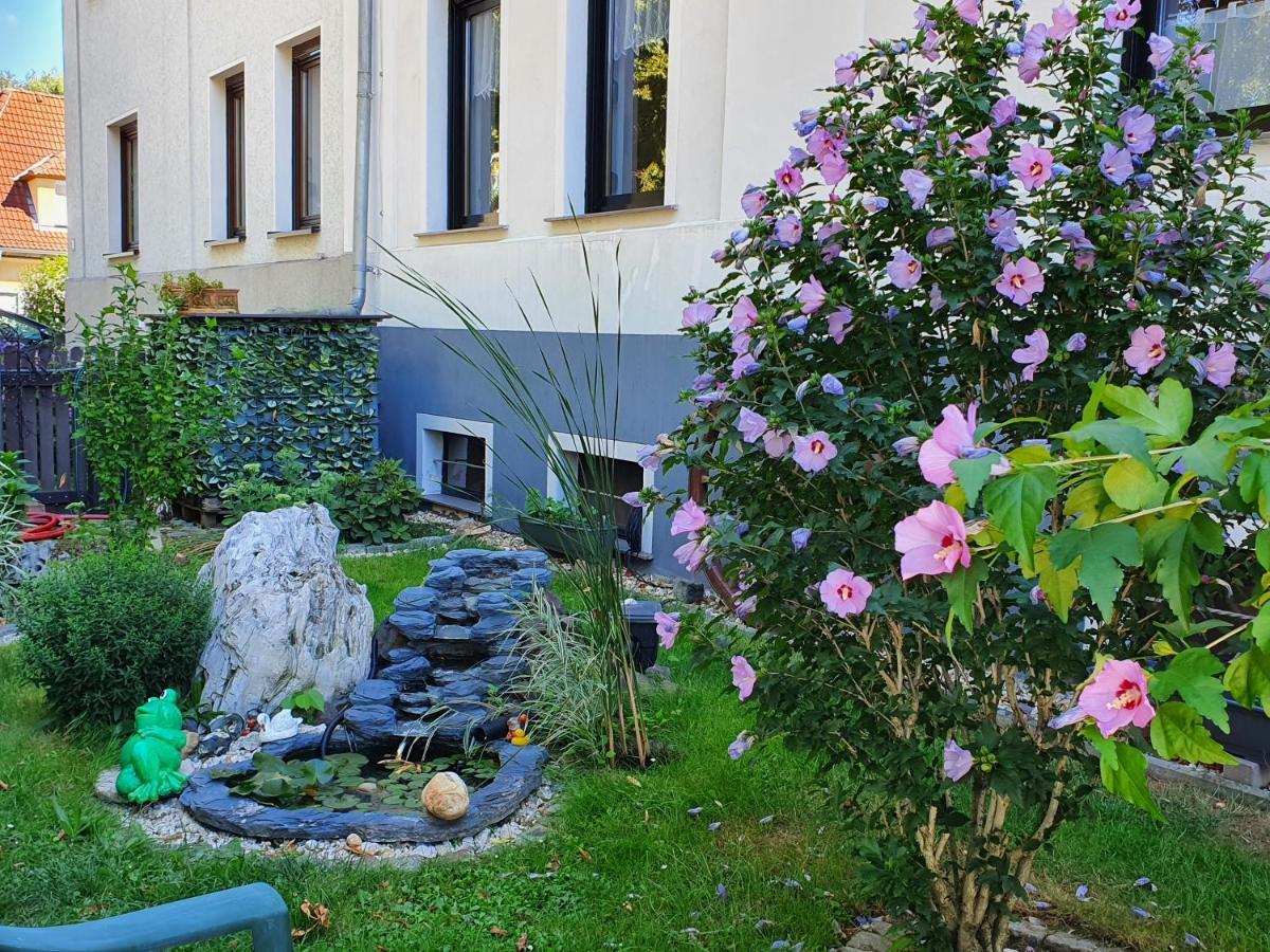 Ferienwohnung Mit Charme Neukieritzsch Exterior foto